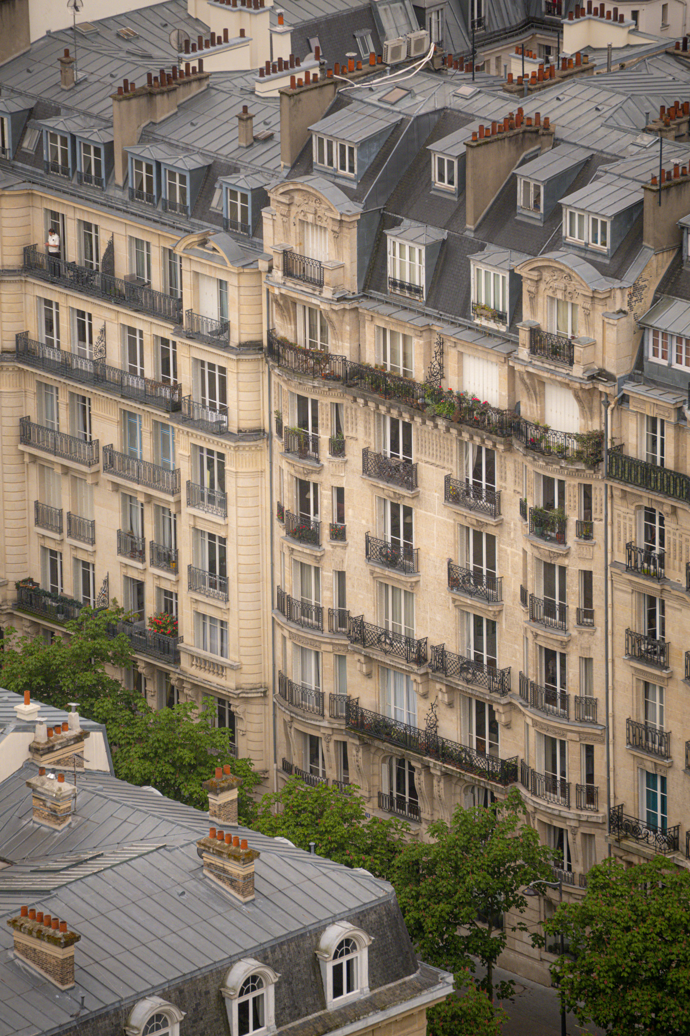 Compressed Paris